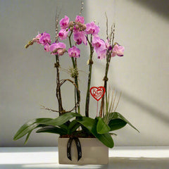 Orchid Garden of Love