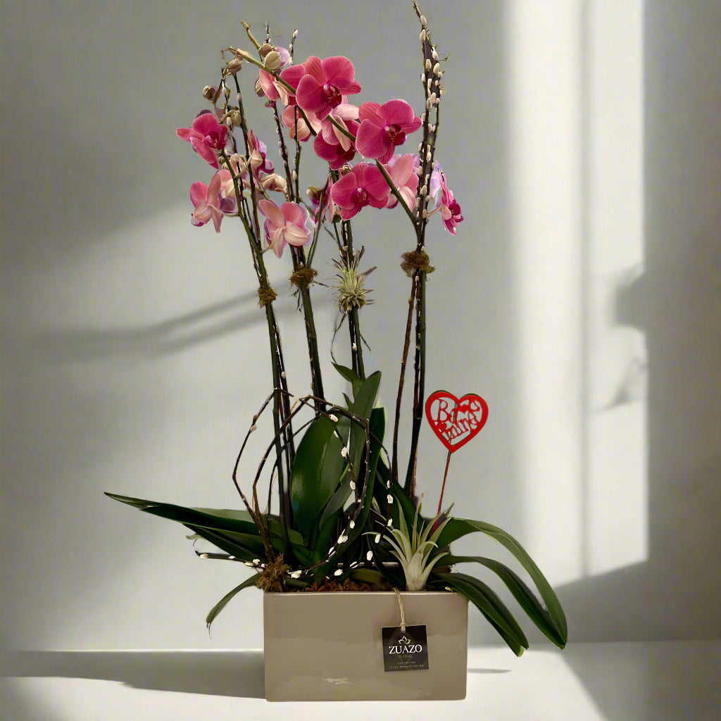 Orchid Garden of Love