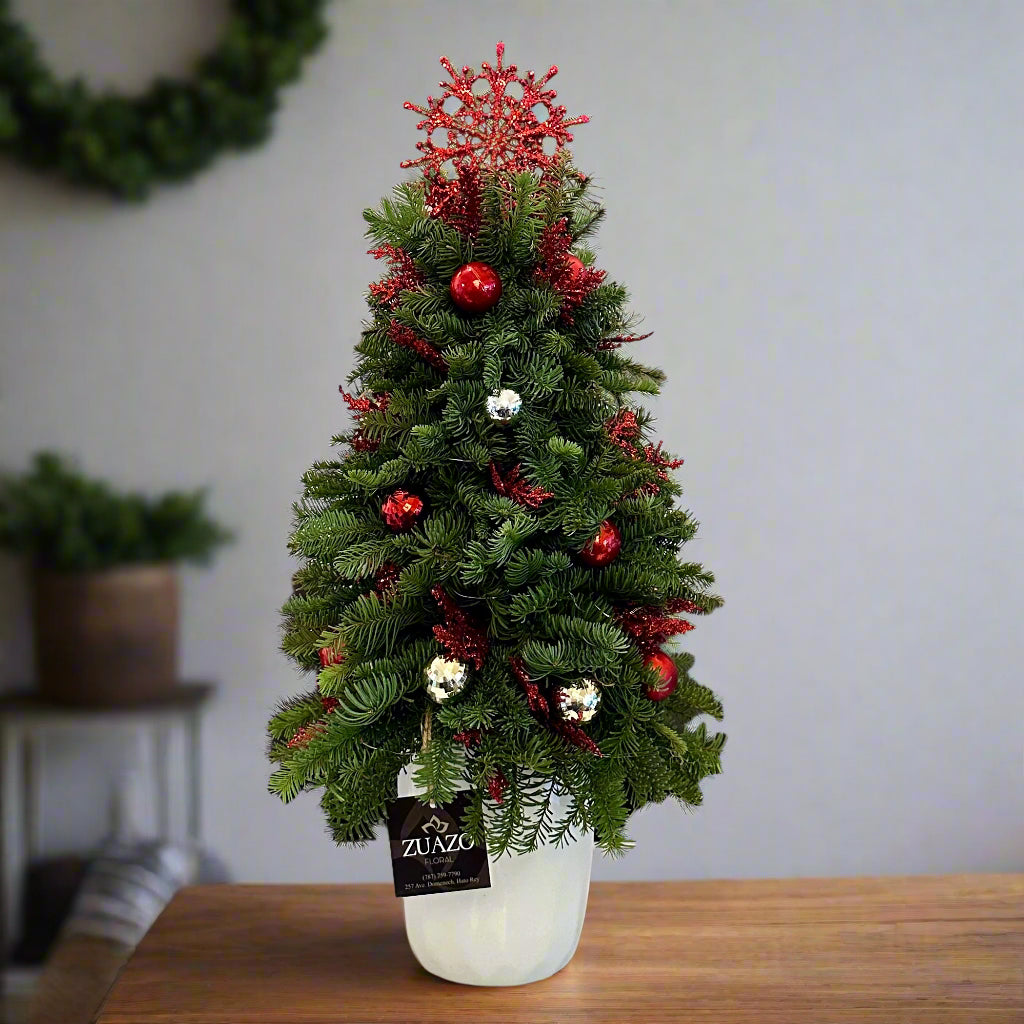 Christmas Tree - Small