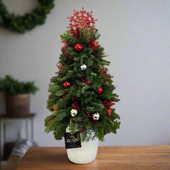 Christmas Tree - Small