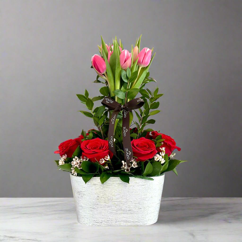 Tulip Passion