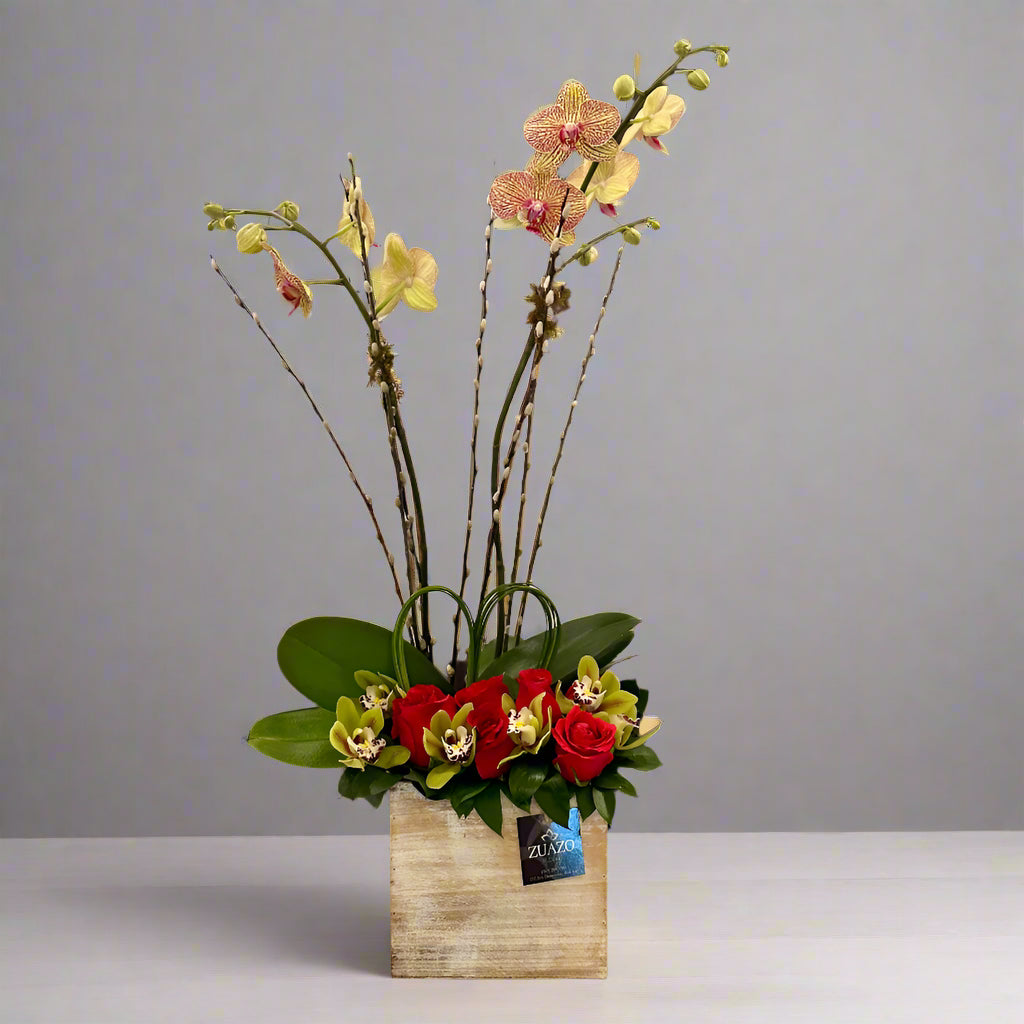 Orchid Elegance
