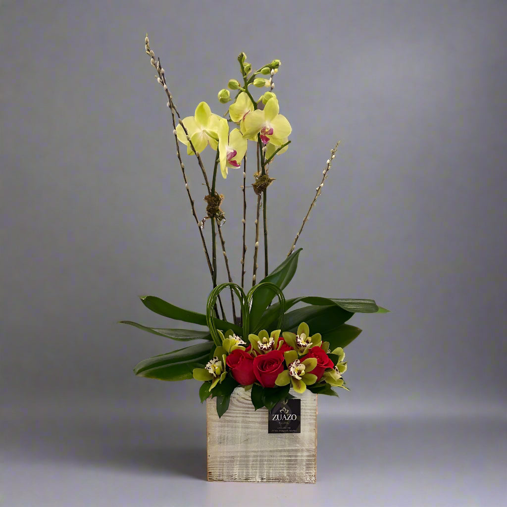 Orchid Elegance