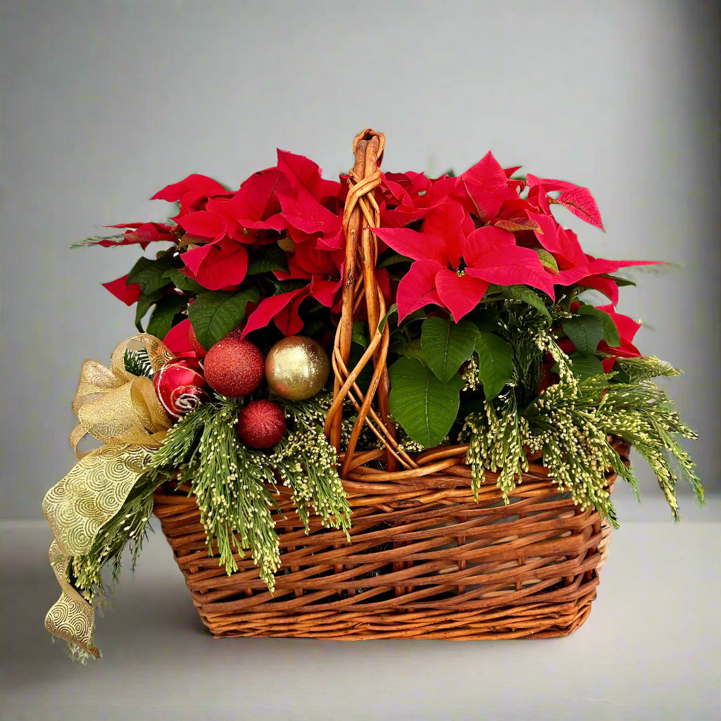 Red Poinsettia Basket
