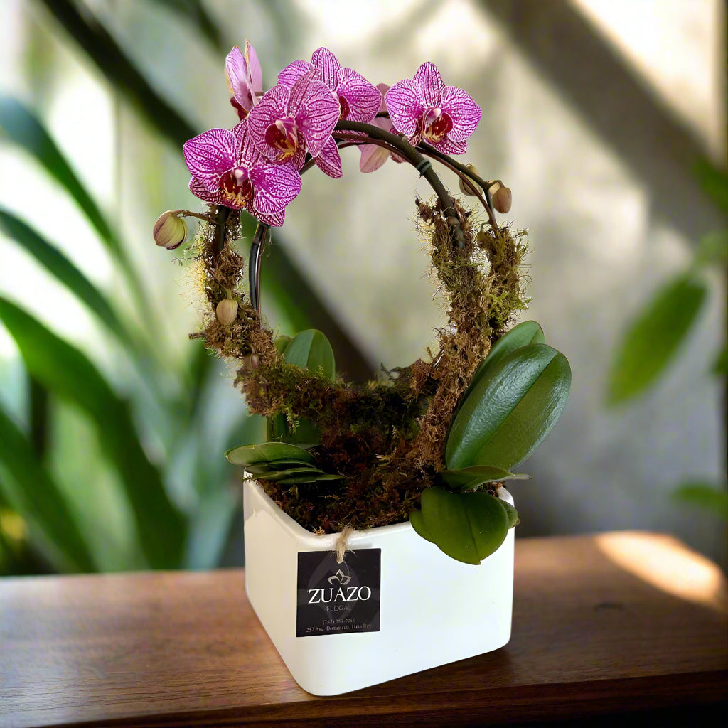 Circle Garden - Zuazo Floral