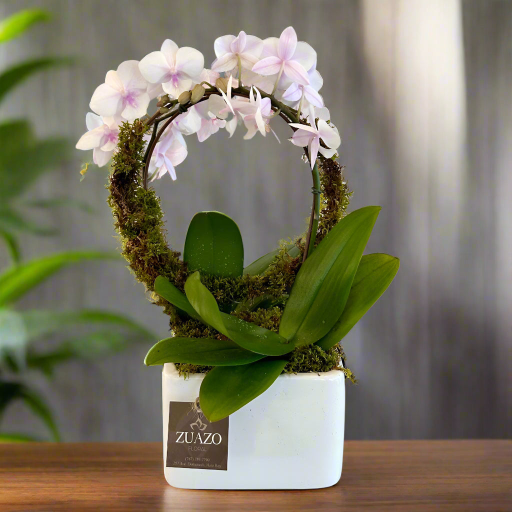 Circle Garden - Zuazo Floral