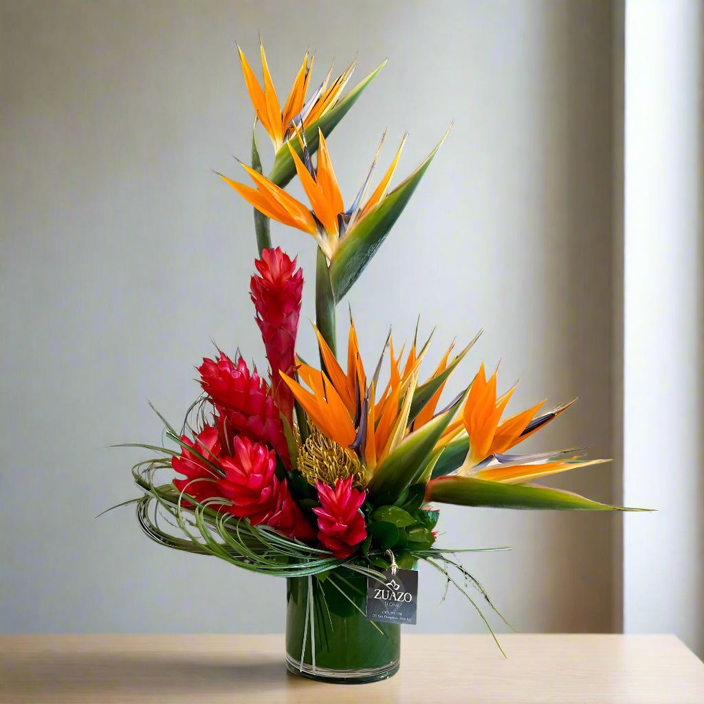 Tropical Harmony