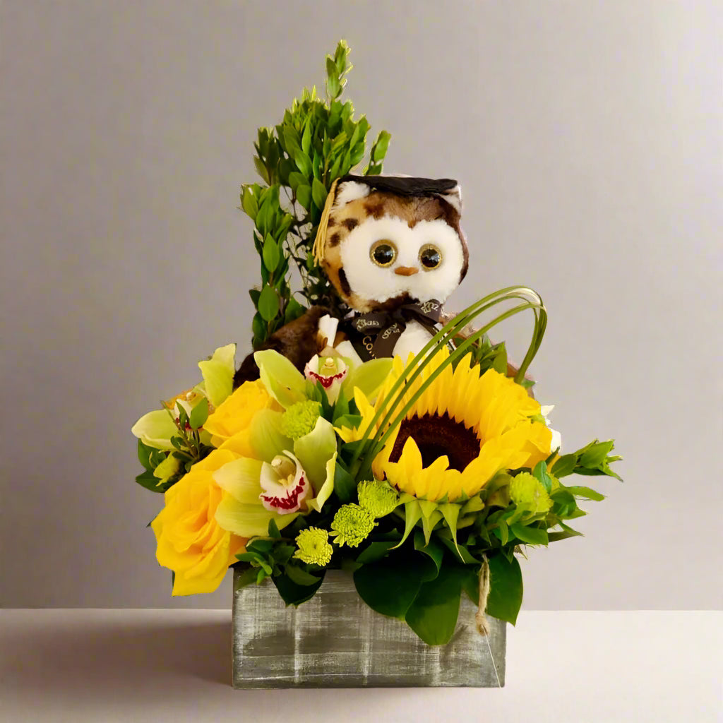 Wisdom Owl