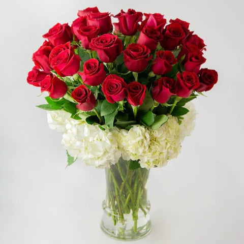 Luxury Red Roses - 75 Classic - SV18
