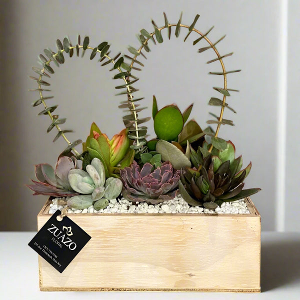 in succulent love Succulents Love