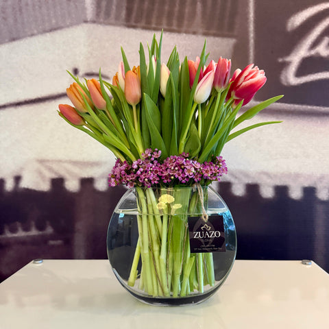 Tulips Spring Colors