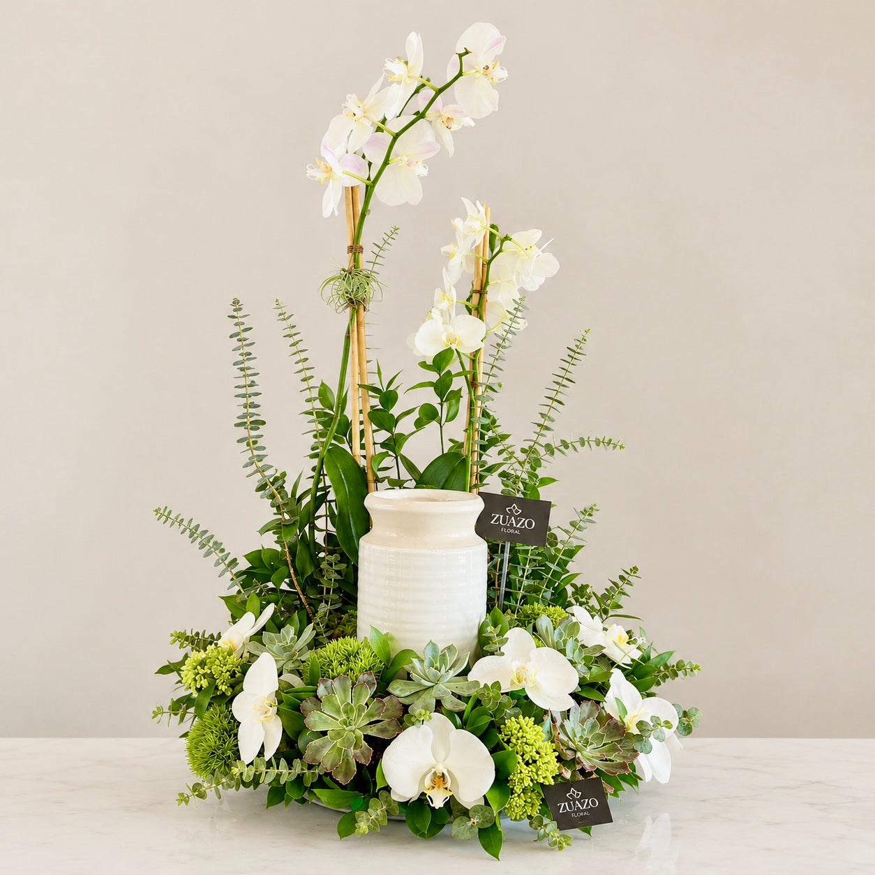 Orchid & Succulent Serenity