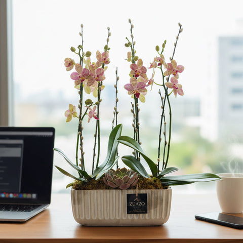 Appreciation Orchids