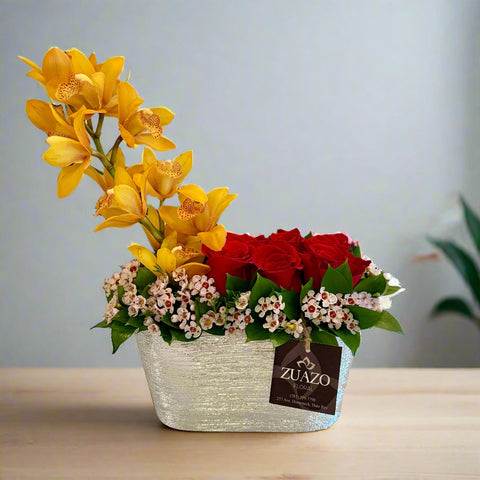 Mini Cymbidiums Orchids