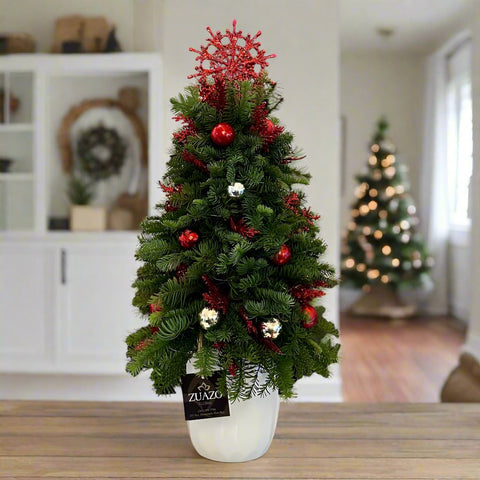 Christmas Tree - Small