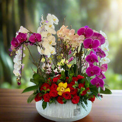 Colorful Orchids