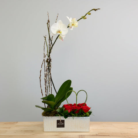 Orchid Love - Zuazo Floral