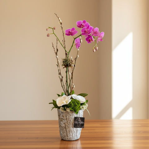 Orchid Touch
