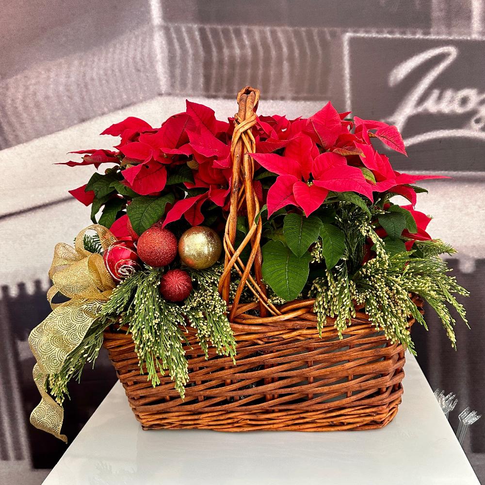 Red Poinsettia Basket