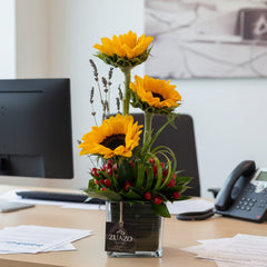 Sunflower Desk Bloom