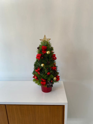 Christmas Tree - Small