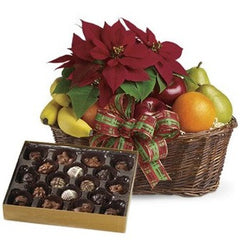 Fruity Poinsettia and Chocolates