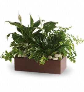 Wood Box Planter