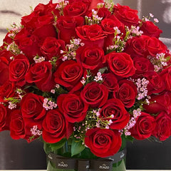 Modern Red Roses - Luxury 100 - SV19