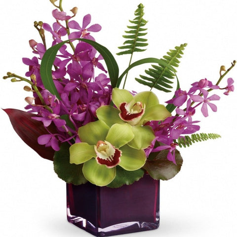 Mokara and Cymbidiums Orchids