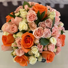 Peaches and Cream Roses